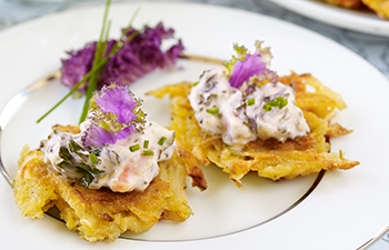 Kashi & Summer Fresh Appetizer Recipe  Mini Potato Pancake with Kale Dip